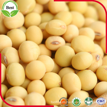 Origen de China Soja amarilla seca no-GMO